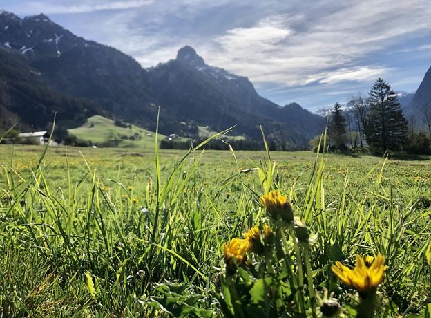 Family Hike with Picnic on the Sunna-Weg
