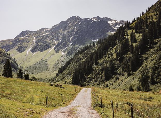 Geführte Wanderung zur Alpe Nenzigast und Besuch Schausennerei
